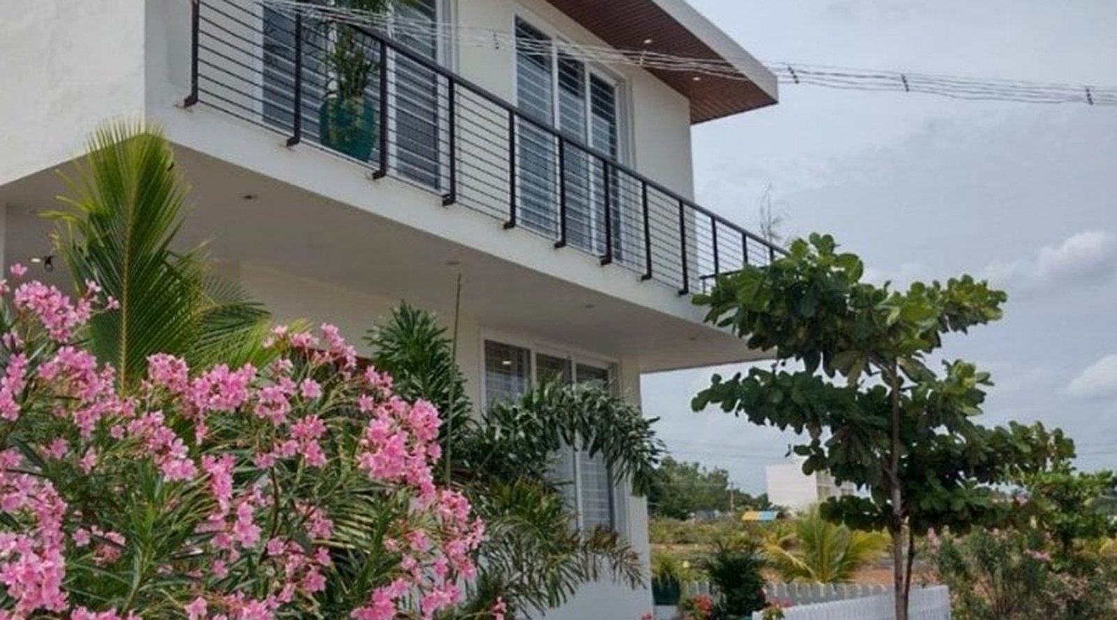 Bay Bliss Villa exterior surrounded by flowering plants