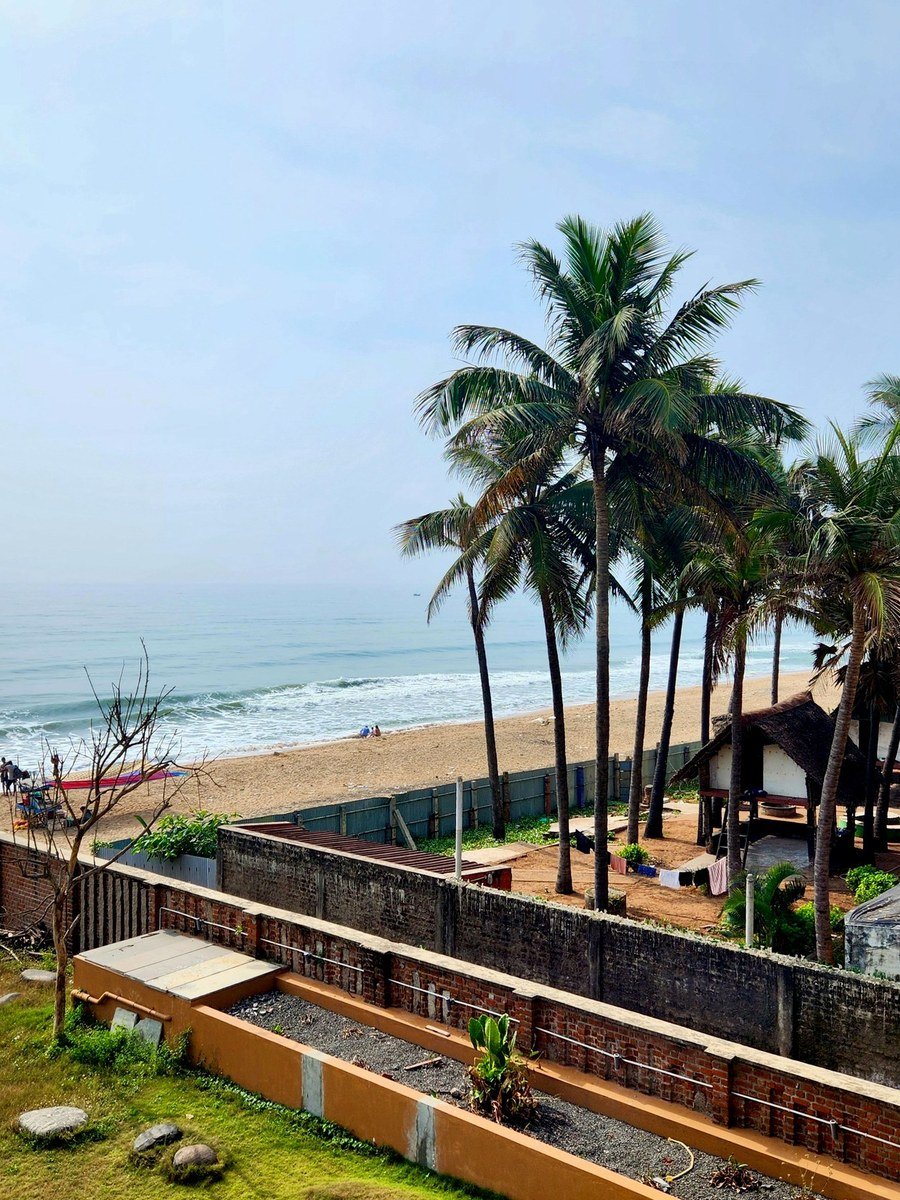 Waterfront palm view
