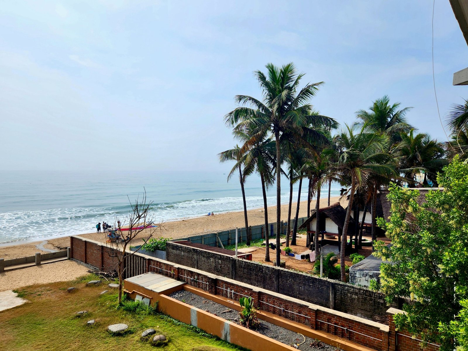 Pondicherry shoreline and palms